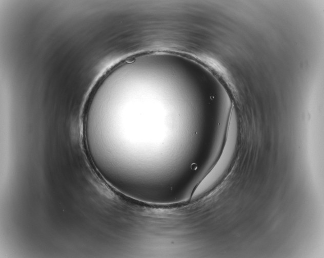 X0000086941280200704301130