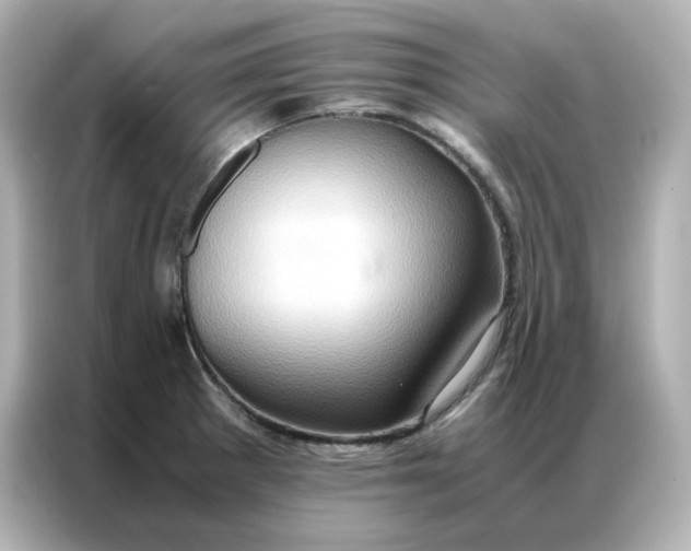 X0000086941281200704301130