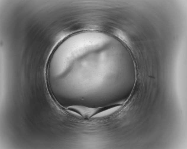 X0000086941283200704301130