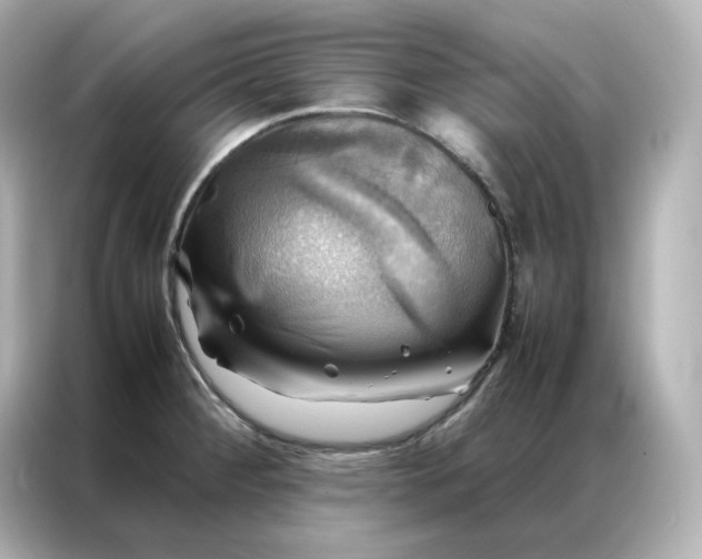 X0000086941284200704301130