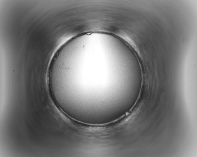 X0000086941285200704301130