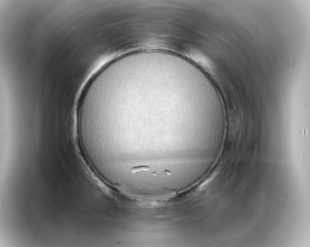 X0000086941286200704301130