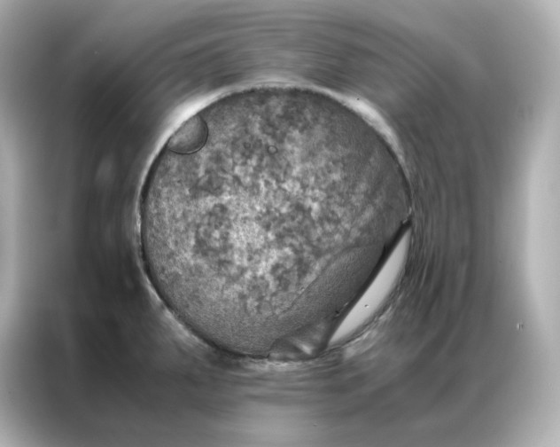 X0000086941287200704301130