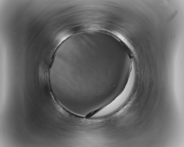 X0000086941289200704301130