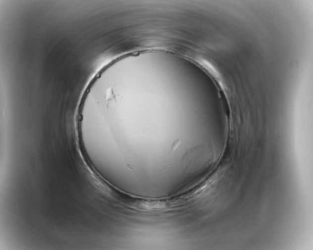 X0000086941291200704301130