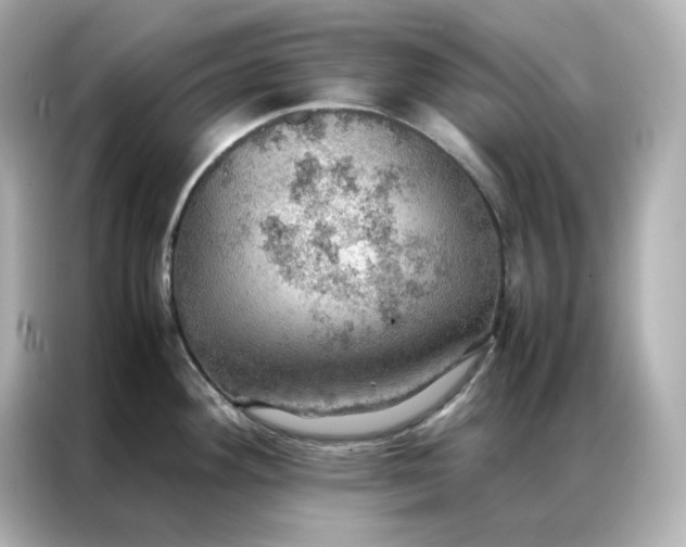 X0000086941292200704301130