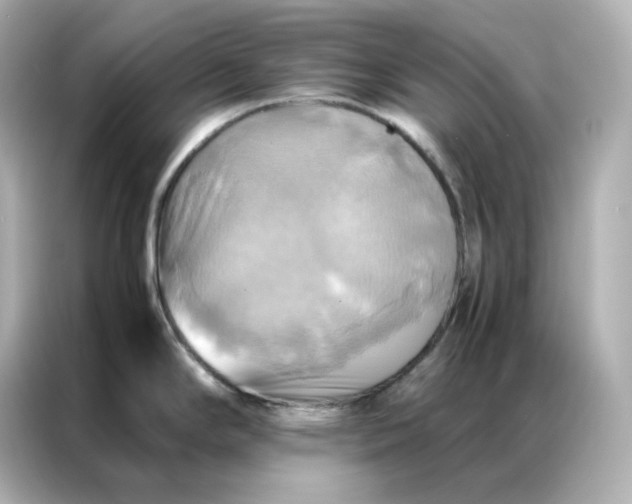 X0000086941294200704301130