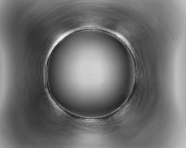 X0000086941295200704301129