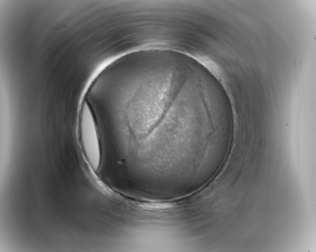 X0000086941296200704301129