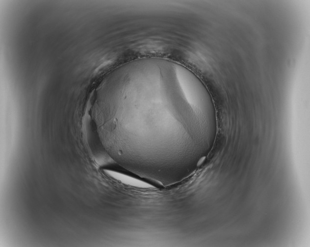 X0000086941297200704301129