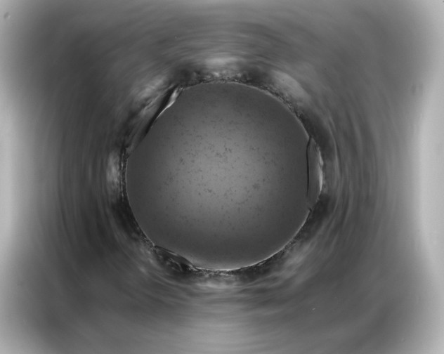 X0000086941298200704301129