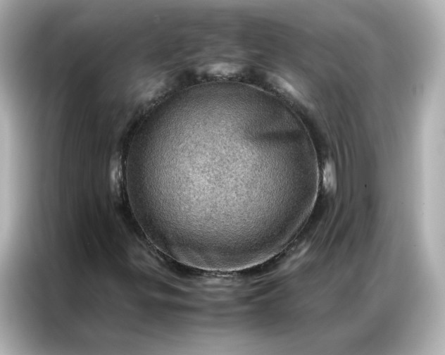 X0000086941299200704301129