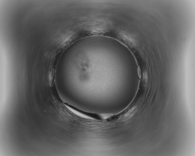 X0000086941300200704301129