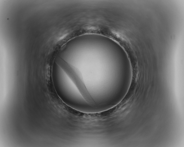 X0000086941301200704301129