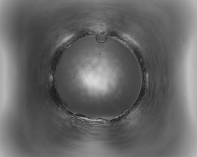 X0000086941302200704301129