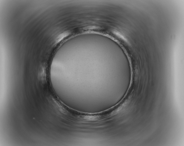 X0000086941305200704301129