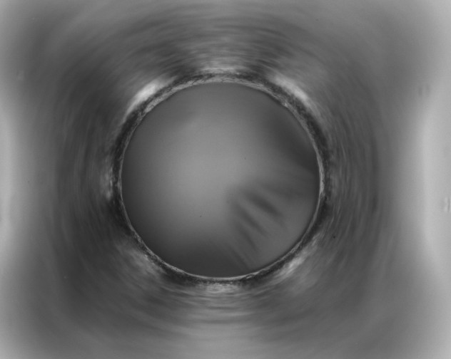 X0000086941306200704301129