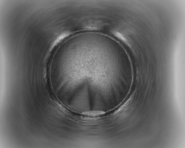 X0000086941307200704301129