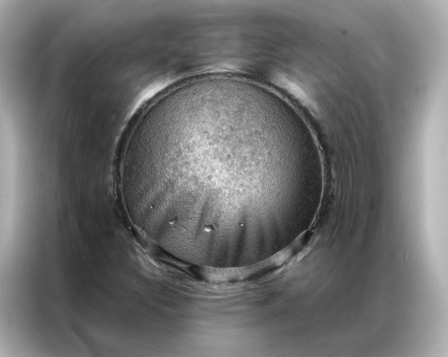 X0000086941308200704301129