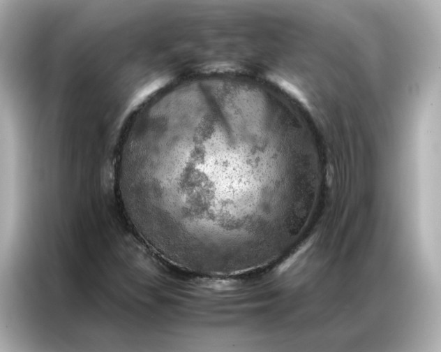 X0000086941309200704301129
