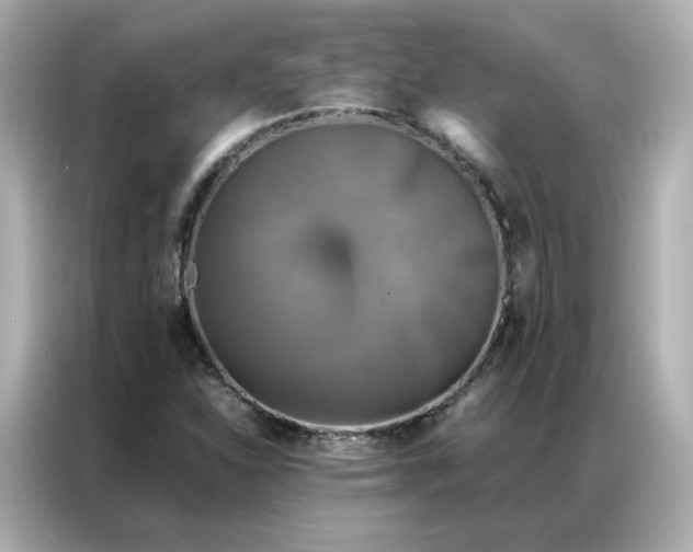X0000086941310200704301129