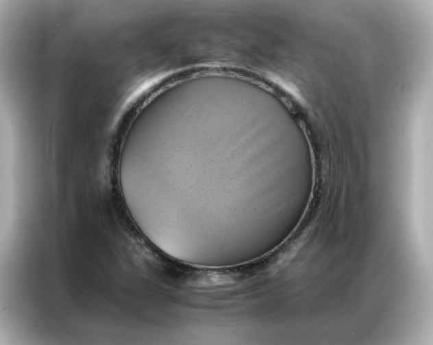 X0000086941311200704301129