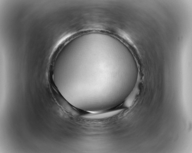 X0000086941312200704301129