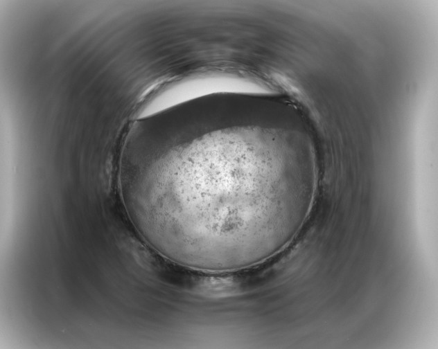 X0000086941313200704301129