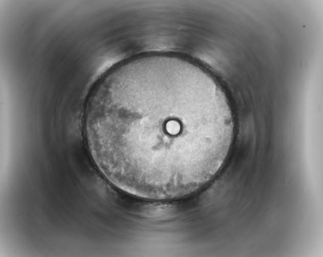 X0000086941314200704301129