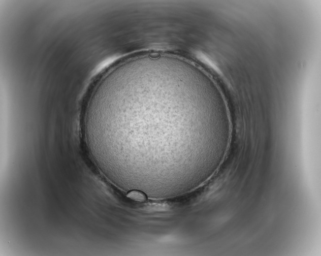 X0000086941315200704301129