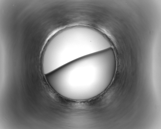 X0000086941316200704301129