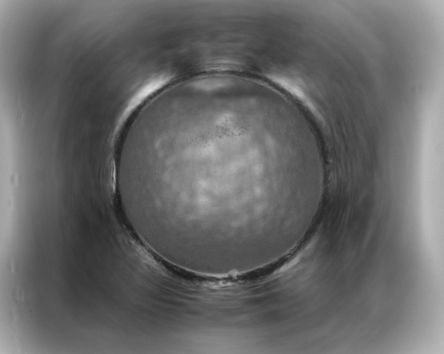 X0000086941317200704301129