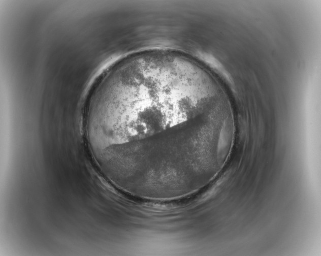 X0000086941318200704301129