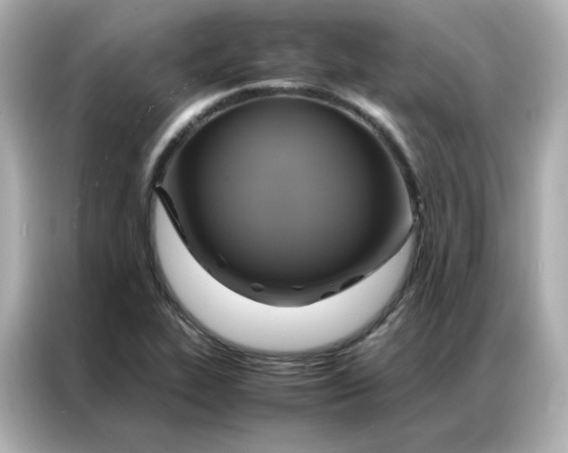 X0000086941319200704301129