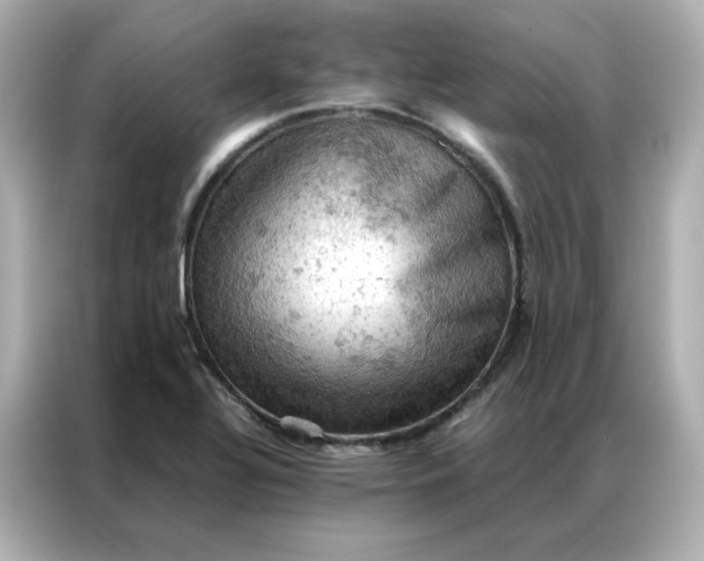 X0000086941320200704301129