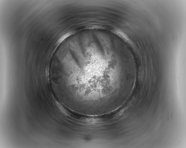 X0000086941321200704301129