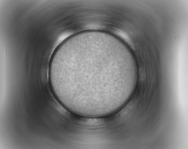 X0000086941322200704301129