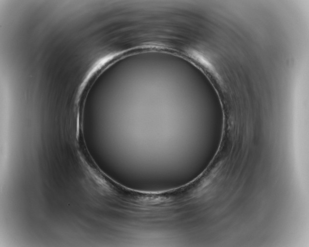X0000086941323200704301129