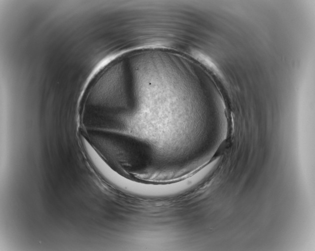 X0000086941324200704301129