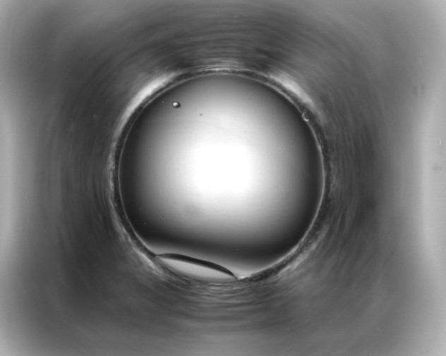X0000086941325200704301129