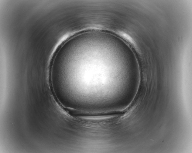 X0000086941326200704301129