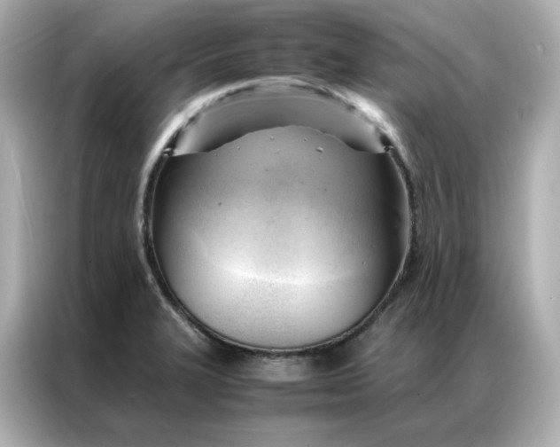 X0000086941327200704301129