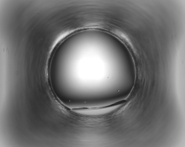 X0000086941328200704301129