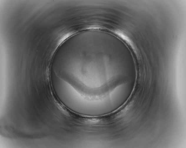 X0000086941329200704301129