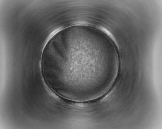 X0000086941330200704301129