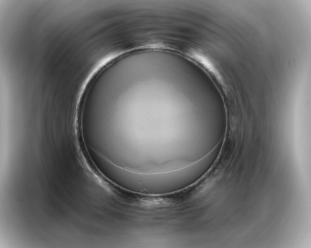 X0000086941331200704301129