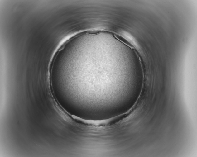 X0000086941332200704301129