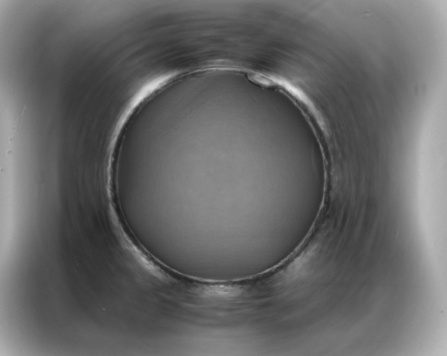 X0000086941333200704301129