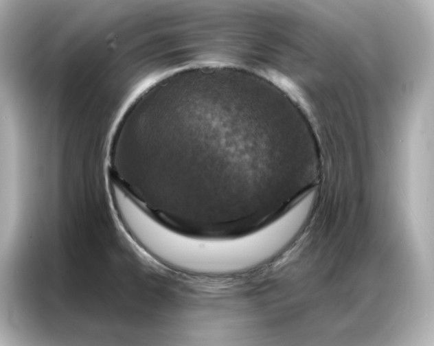 X0000086941334200704301129