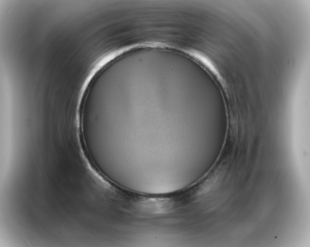 X0000086941335200704301129